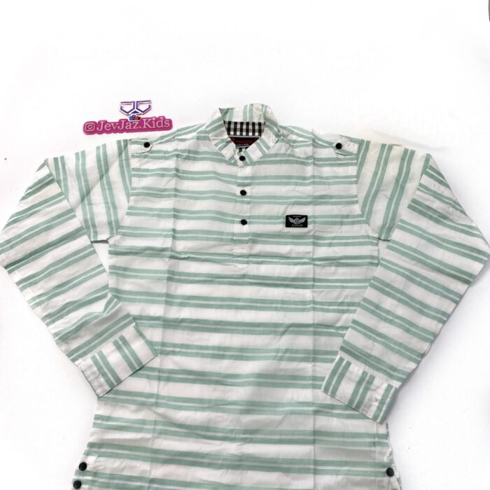SR STRIPE DRESS SHIRT LONG SLEEVE HALF BUTTON (Green)